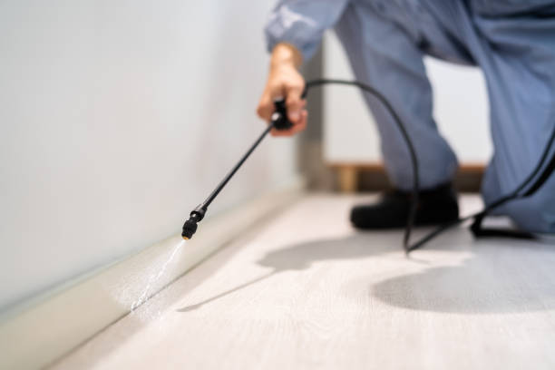 Licensed Pest Control service in Double Oak, TX - Show Me Pest Control