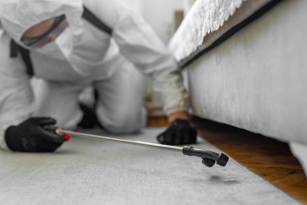 Professional Ant Control technician working in Double Oak, TX