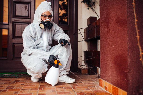 Reliable Ant Control contractor in Double Oak, TX by Show Me Pest Control